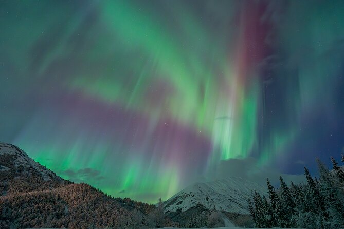 Anchorage Northern Lights Tour - Following forecasts instead of guessing