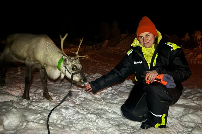 Arctic Adventure with Reindeer and Northern Lights Hunt 18:30 pm - Why the reindeer visit is the heart of the evening