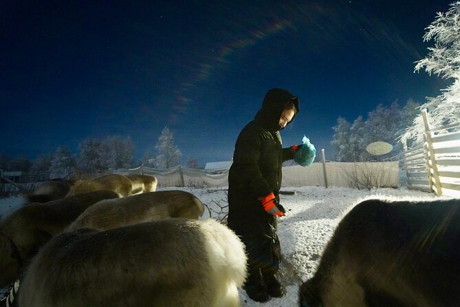Arctic Adventure with Reindeer and Northern Lights Hunt 18:30 pm - The guides and the personal feel