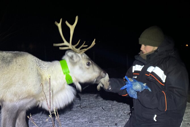 Arctic Adventure with Reindeer and Northern Lights Hunt 18:30 pm - Clothing matters more than you may expect