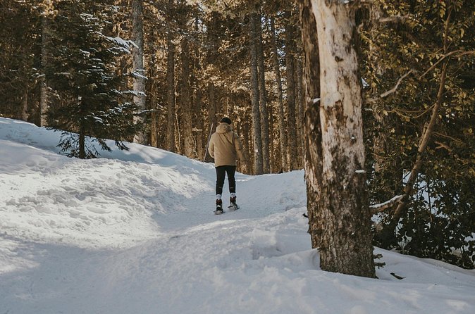 Arctic Darkness & Starlight Adventure with Snowshoes - What the $107.63 price includes