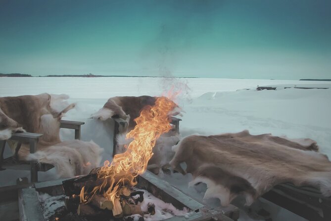 Arctic Darkness & Starlight Adventure with Snowshoes - Who will enjoy this two-hour outing