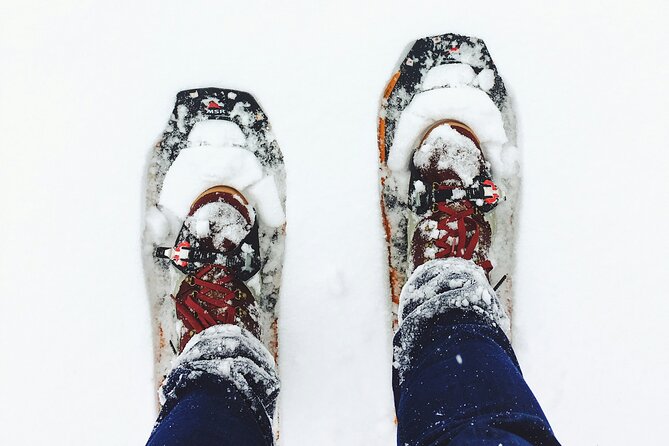 Arctic Darkness & Starlight Adventure with Snowshoes - The campfire is the heart of the evening