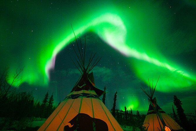Arctic Day: Aurora Viewing Tour | late night - Staying warm and dressing sensibly