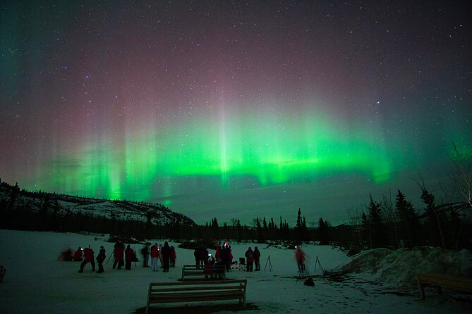 Arctic Day: Aurora Viewing Tour | late night - Is $125.39 a fair price?