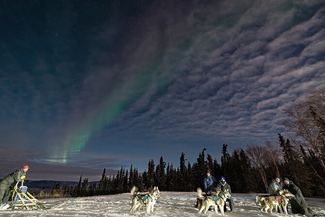 Aurora Activity at Sluice Box Sled Dogs - Waiting inside the Arctic Oven Tent