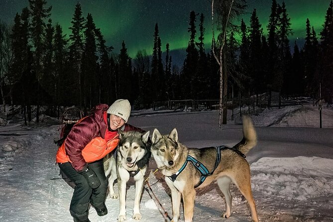 Aurora Activity at Sluice Box Sled Dogs - When the sky requires an aurora chase