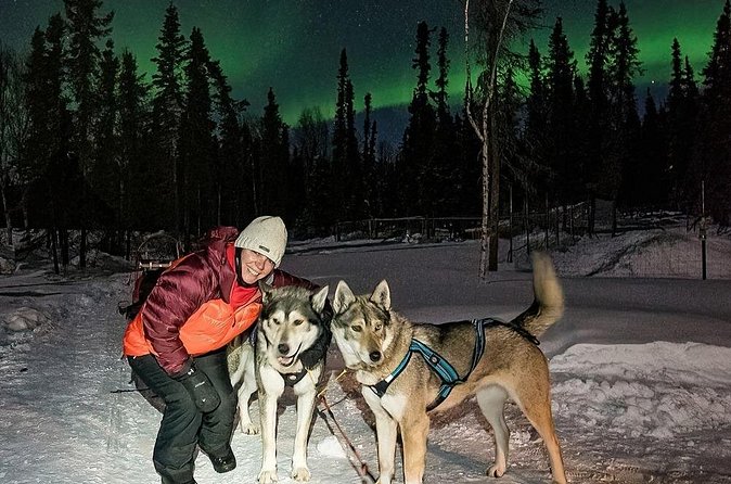 Aurora Activity at Sluice Box Sled Dogs - Who will get the most from this outing