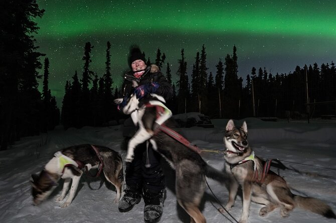 Aurora Activity at Sluice Box Sled Dogs - Learning how the aurora works