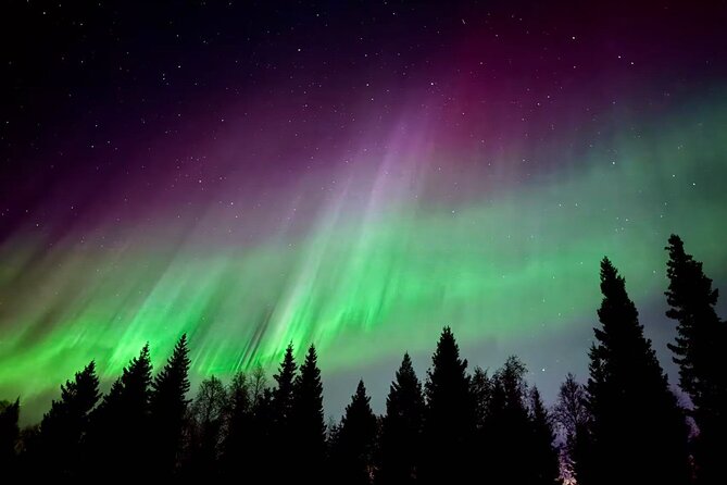 Aurora BBQ in the Private Place in Rovaniemi - Key points to know before booking