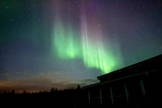 Aurora BBQ in the Private Place in Rovaniemi - Is $78.02 a fair price?
