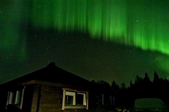Aurora BBQ in the Private Place in Rovaniemi - Who will enjoy this most