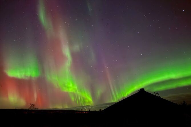 Aurora BBQ in the Private Place in Rovaniemi - From central Rovaniemi to the kota