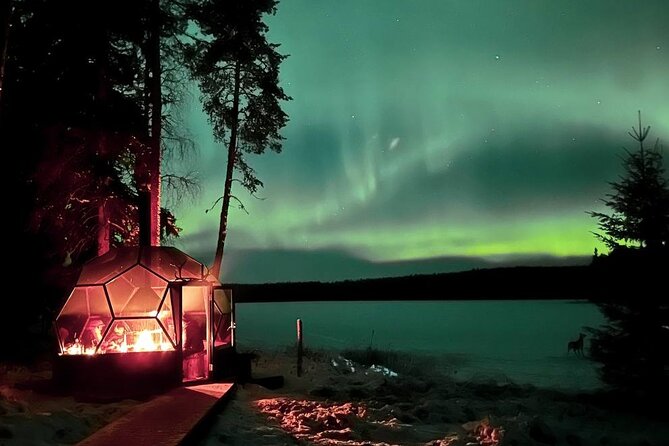 Aurora Borealis Dinner in a Glass Igloo - What happens during the three-hour outing