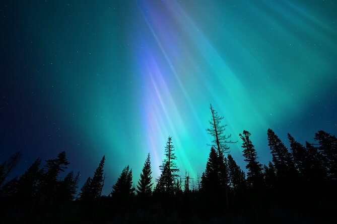 Aurora Borealis Experience Night Edition - Key points to know before booking