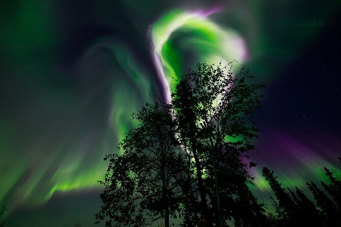 Aurora Borealis Experience Night Edition - The Lappish cabin brings warmth to the night