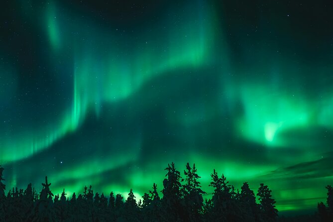 Aurora Borealis Experience Night Edition - Guides who make the night feel personal