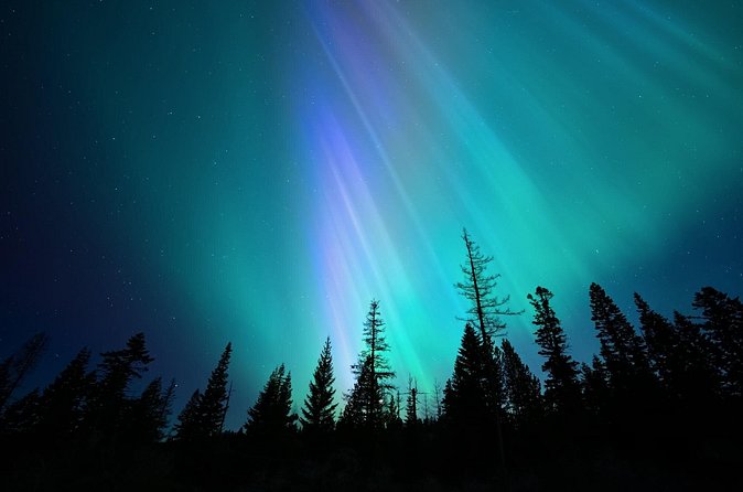 Aurora Borealis Experience Night Edition - What $173.13 buys you