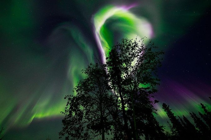 Aurora Borealis Experience Night Edition - Pickup, participation, and cancellation details