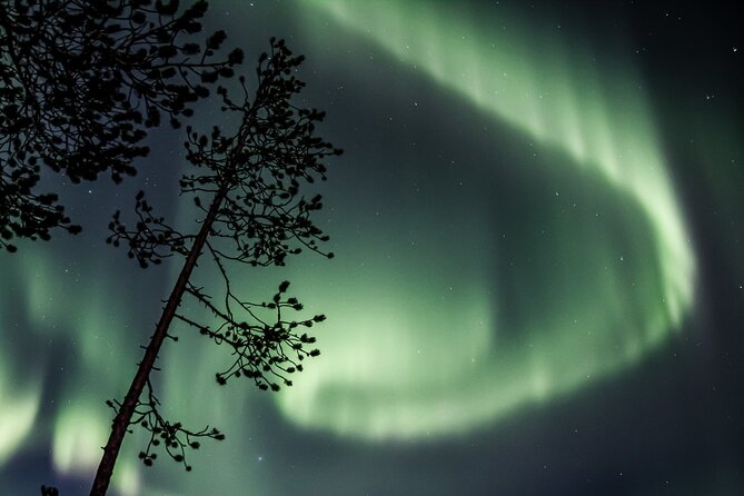 Aurora Borealis Picnic in Rovaniemi - What happens when the Aurora appears