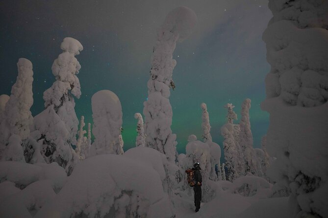Aurora Borealis Snowshoeing Adventure by Night from Rovaniemi - Key points before you book