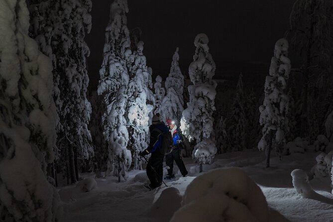 Aurora Borealis Snowshoeing Adventure by Night from Rovaniemi - Walking into the Rovaniemi night