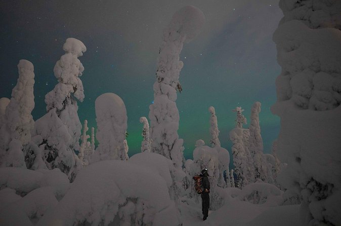 Aurora Borealis Snowshoeing Adventure by Night from Rovaniemi - The honest downside: the aurora is never guaranteed