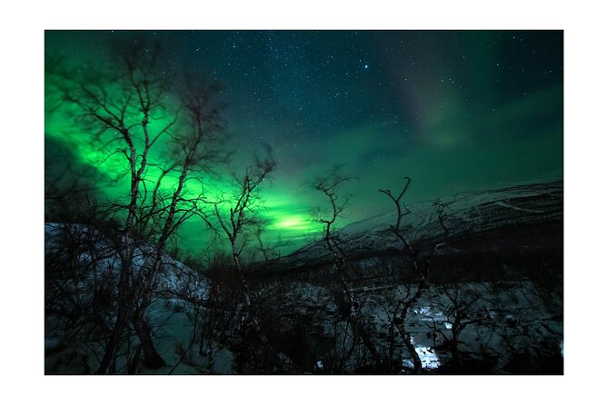 Aurora Borealis Tour in Kiruna - Lapland with Stejk Street Food - What happens when the sky cooperates