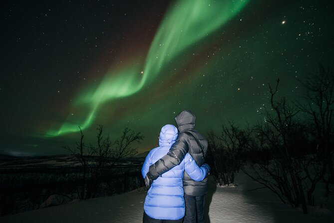 Aurora Car Chasing Tour with Photographer - What the Abisko aurora chase is really like