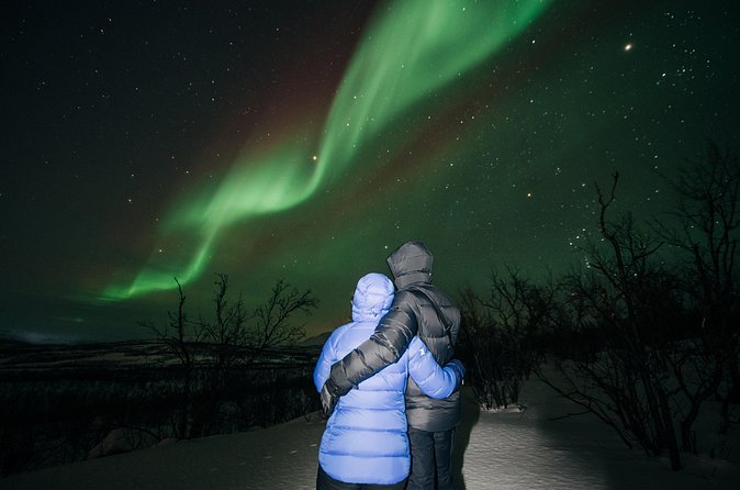 Aurora Car Chasing Tour with Photographer - The local details make the waiting easier