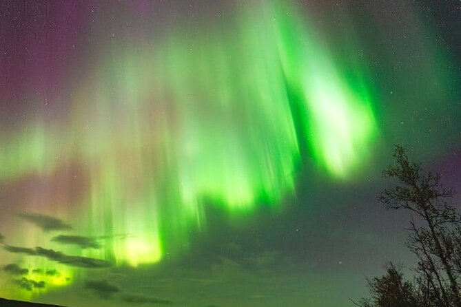 Aurora Car Chasing Tour with Photographer - What to know before you pay $158.21