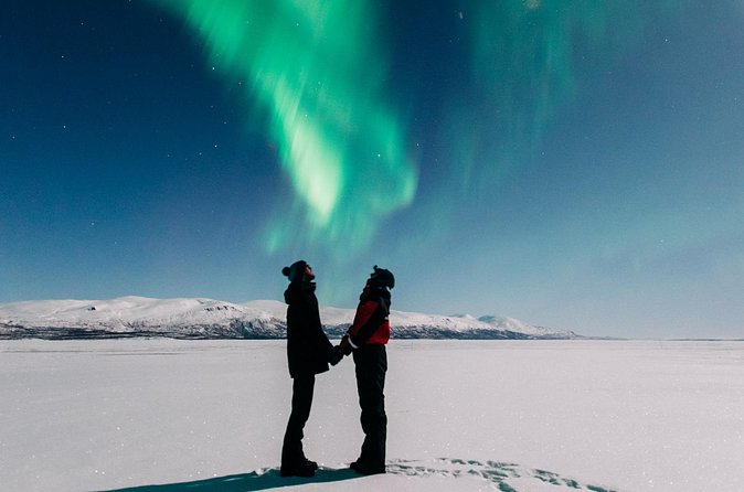 Aurora Car Chasing Tour with Photographer - Should you book the Abisko aurora tour?