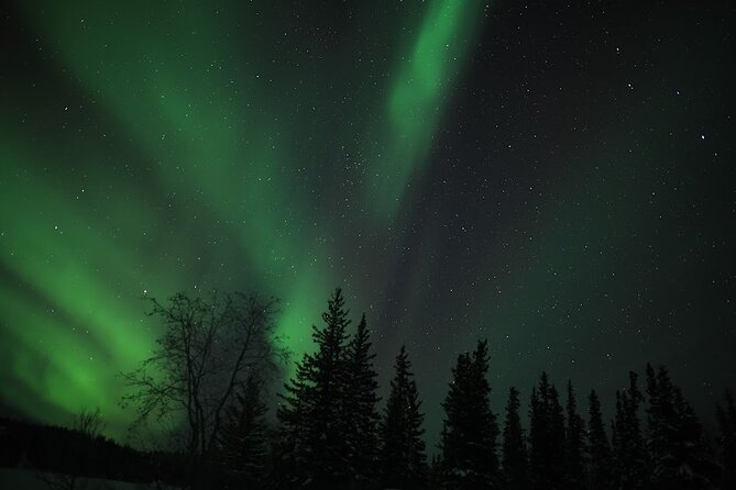 Aurora Chasing + Aurora Lodge - Watching the sky from the viewing decks