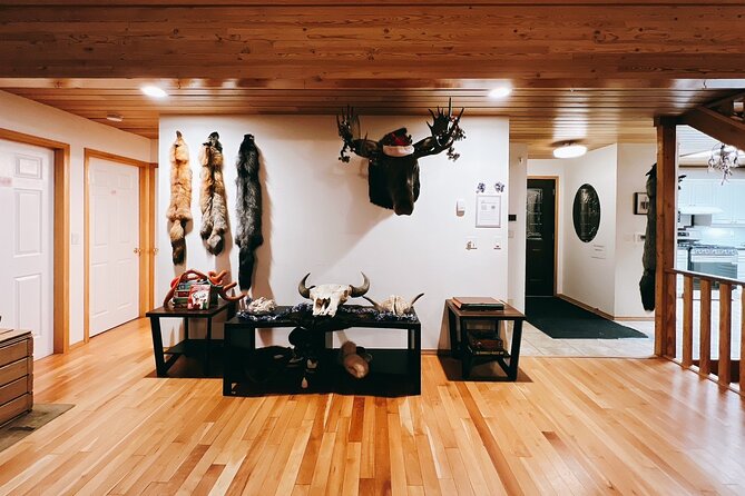 Aurora Chasing + Aurora Lodge - Madeline Lake Lodge, your warm base for the night