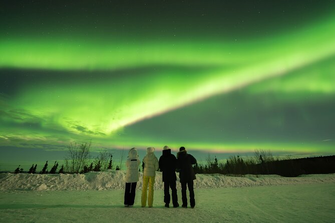 Aurora Chasing Tour With Free Photography Service - Is the included service good value?