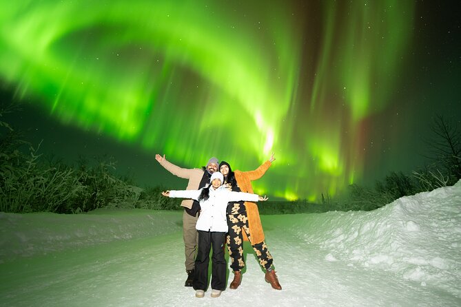 Aurora Chasing Tour With Free Photography Service - What the photography service adds