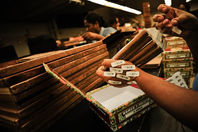 Aurora Cigar & Rum Sensory Tasting and Pairing in Punta Cana - Is $75 a fair price?