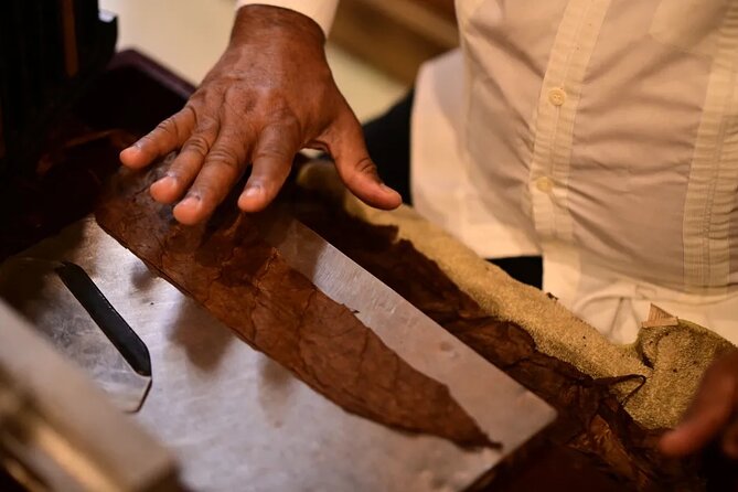 Aurora Cigar & Rum Sensory Tasting and Pairing in Punta Cana - A practical two-hour plan