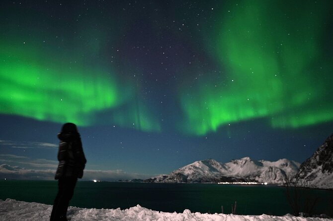 AURORA DAİLY Northern Lights Safari Tour 8 Guests with PİCKUP - The campfire break adds warmth and calm