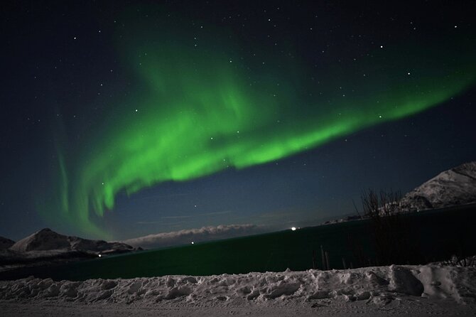 AURORA DAİLY Northern Lights Safari Tour 8 Guests with PİCKUP - Is $290.10 fair for eight hours?