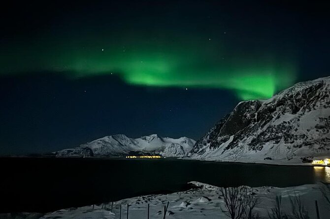 AURORA DAİLY Northern Lights Safari Tour 8 Guests with PİCKUP - Who will enjoy this Tromsø aurora chase