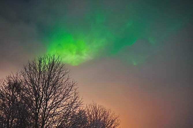 Aurora Hunt with BBQ in Rovaniemi - A lakeside evening built around patience