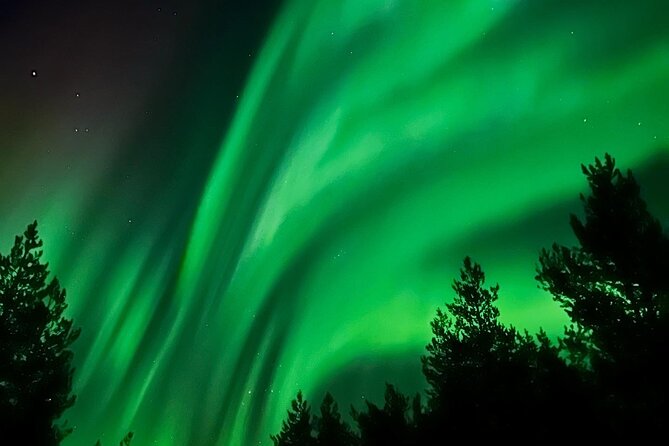 Aurora Hunt with BBQ in Rovaniemi - Searching for the right patch of sky
