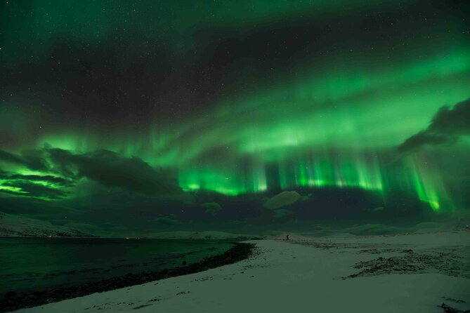 Aurora Hunt with Professional Photographer from Alta - What the evening is really like