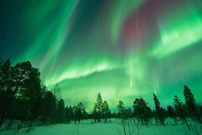 Aurora Hunt with the campfire and professional photographer - Campfire food makes the cold easier