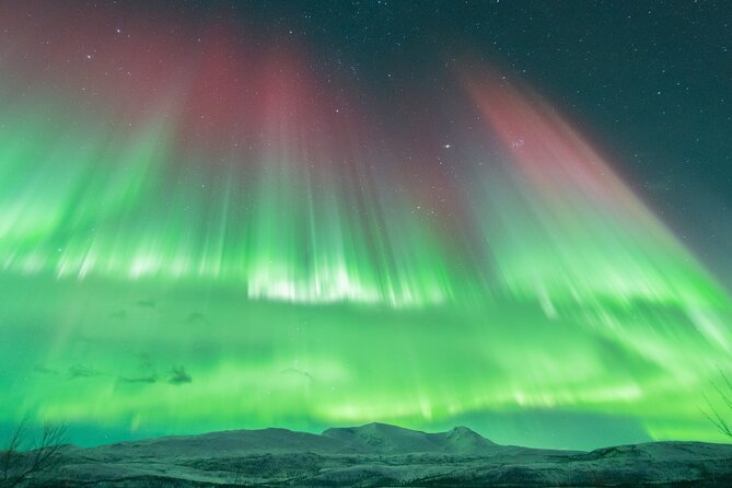 Aurora Hunt with the campfire and professional photographer - Thermal suits help, but winter gear still matters