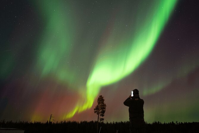Aurora Hunting by Minivan in Ivalo, Inari or Saariselkä - Key points to know before booking