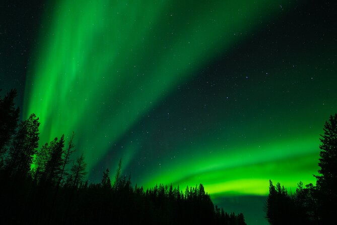 Aurora Hunting by Minivan in Ivalo, Inari or Saariselkä - What happens when the aurora appears
