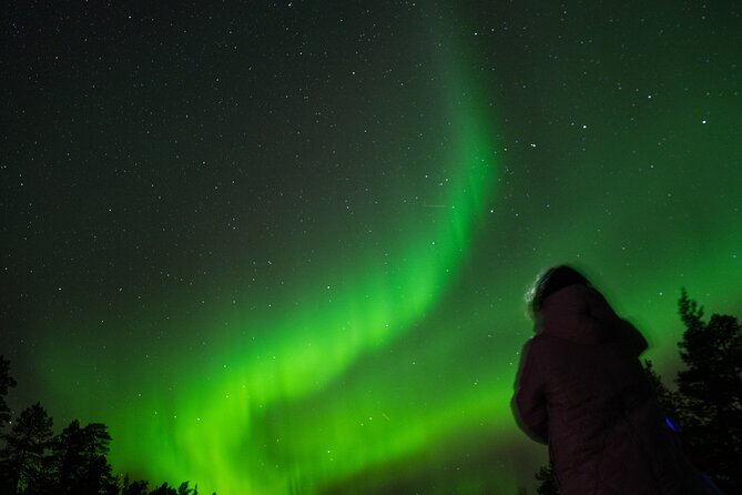 Aurora Hunting by Minivan in Ivalo, Inari or Saariselkä - Timing, cold, and the practical side of the night
