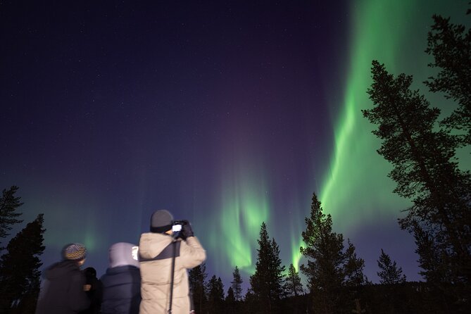 Aurora Hunting by Minivan in Ivalo, Inari or Saariselkä - The fireside stop with sausages and berry juice